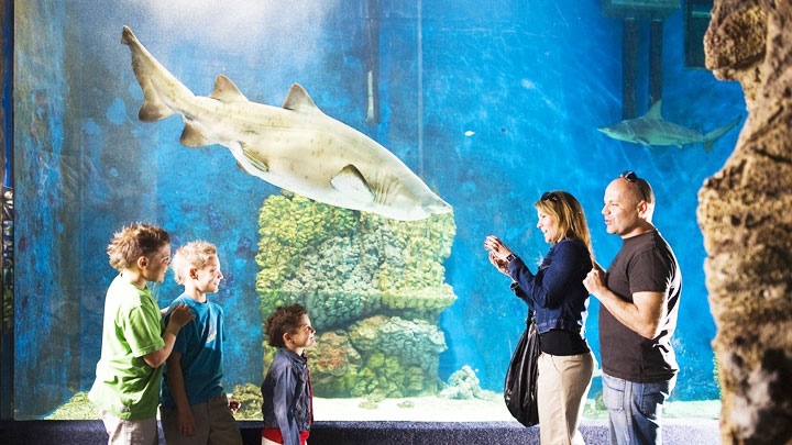 SóstóZoo – Nyíregyházi Állatpark